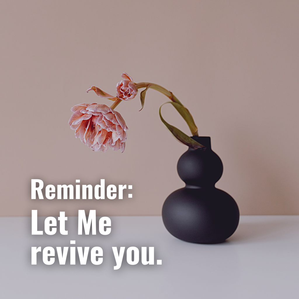 revive you