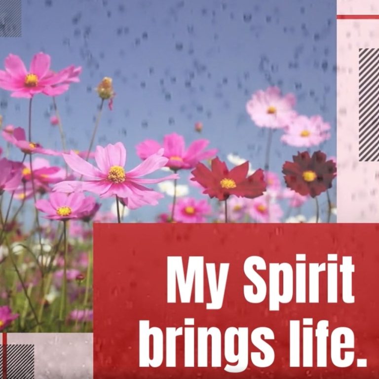 my spirit brings life