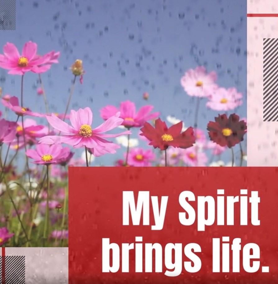 Get With It - My Spirit brings life - A Radical Difference