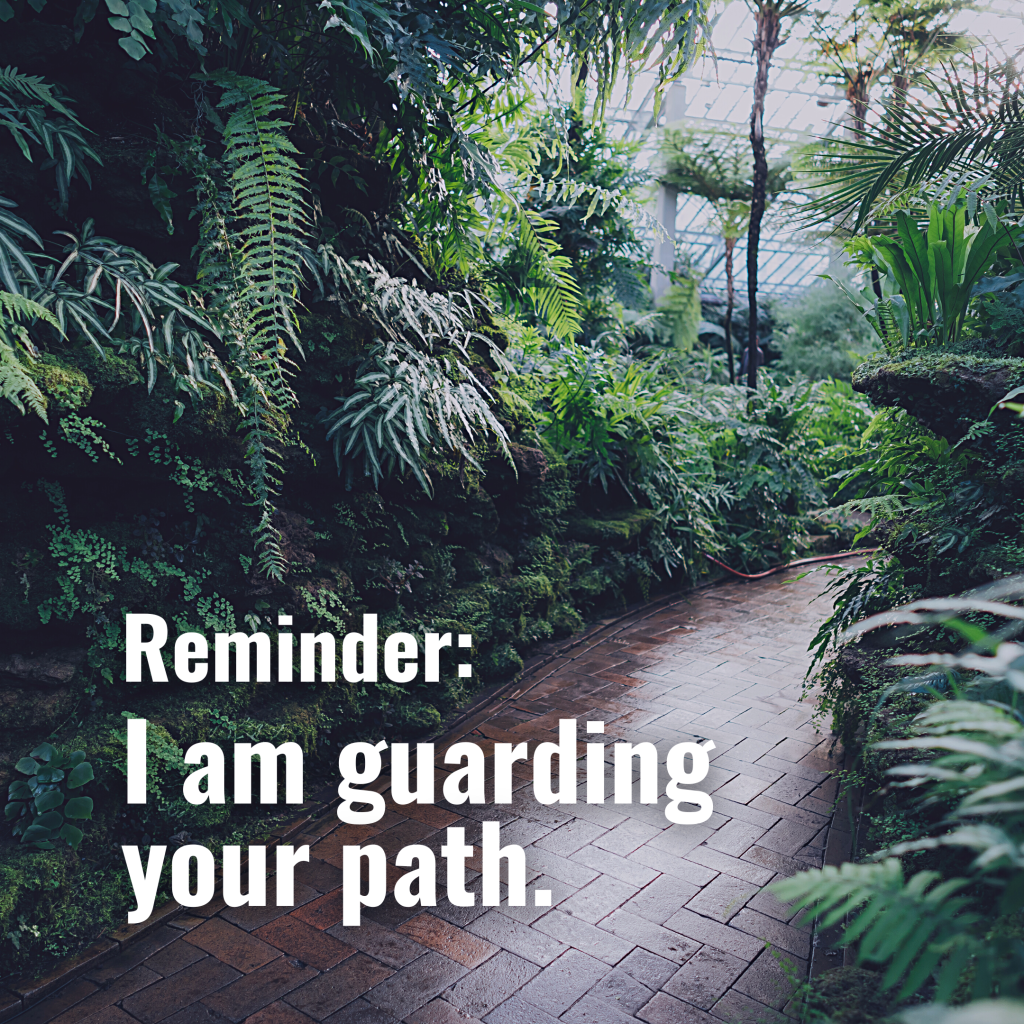 guard your path