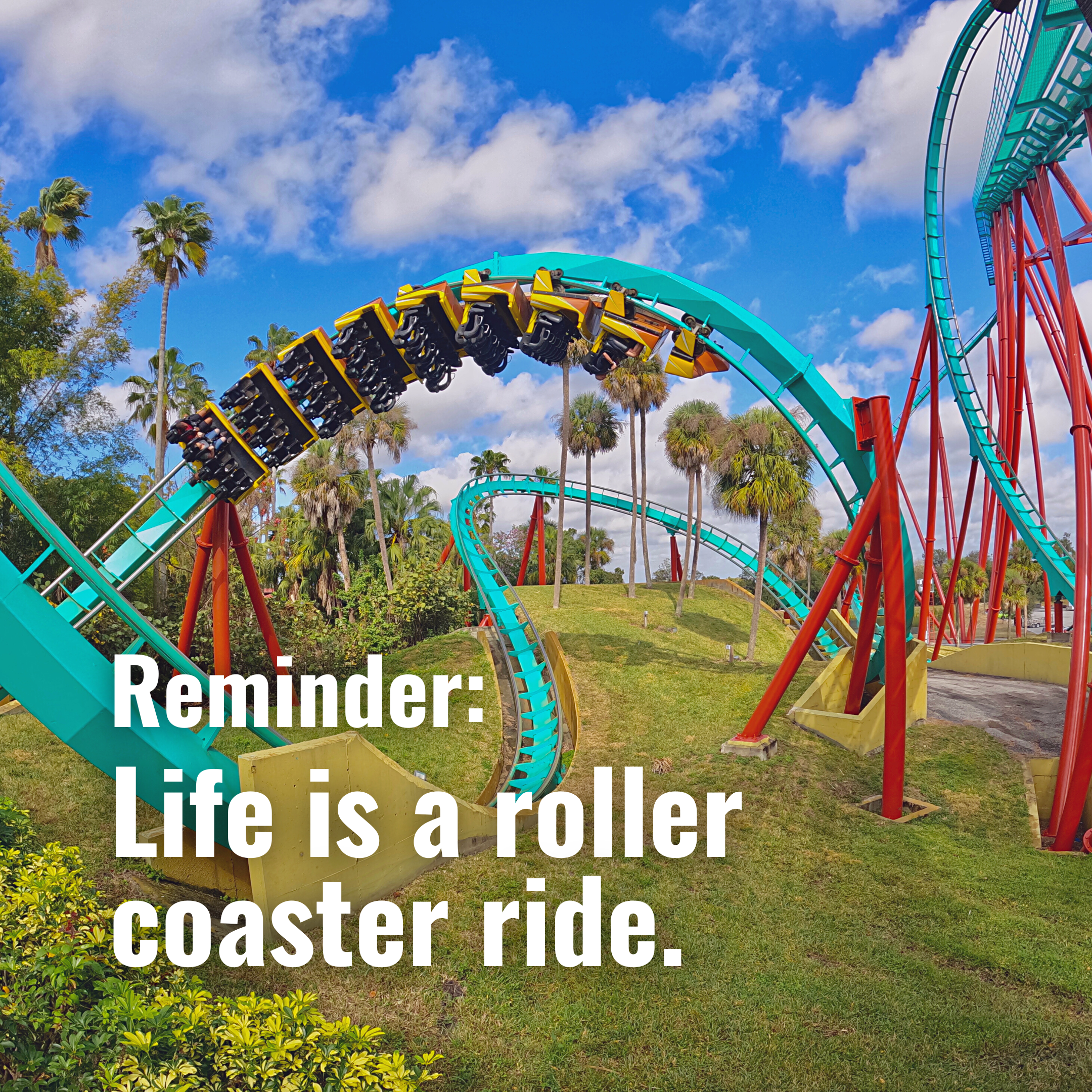 Get With It Life is a roller coaster ride A Radical Difference