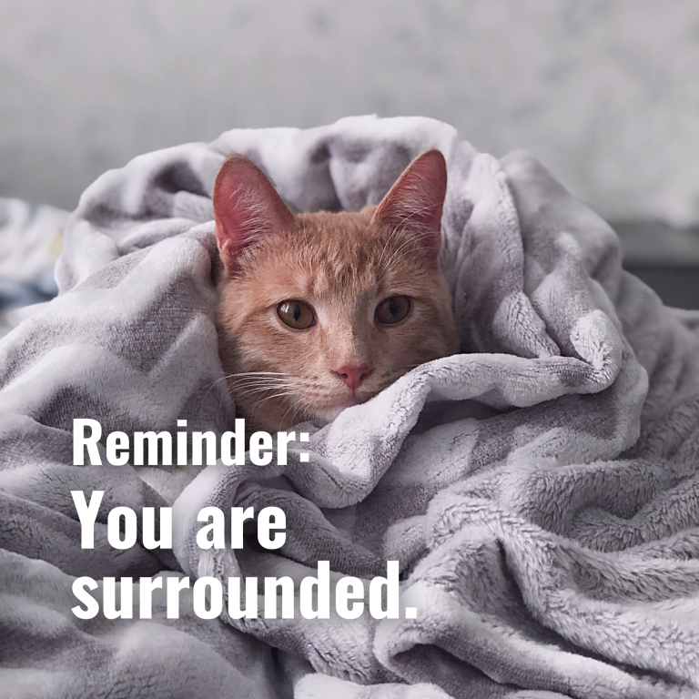 You are surrounded.