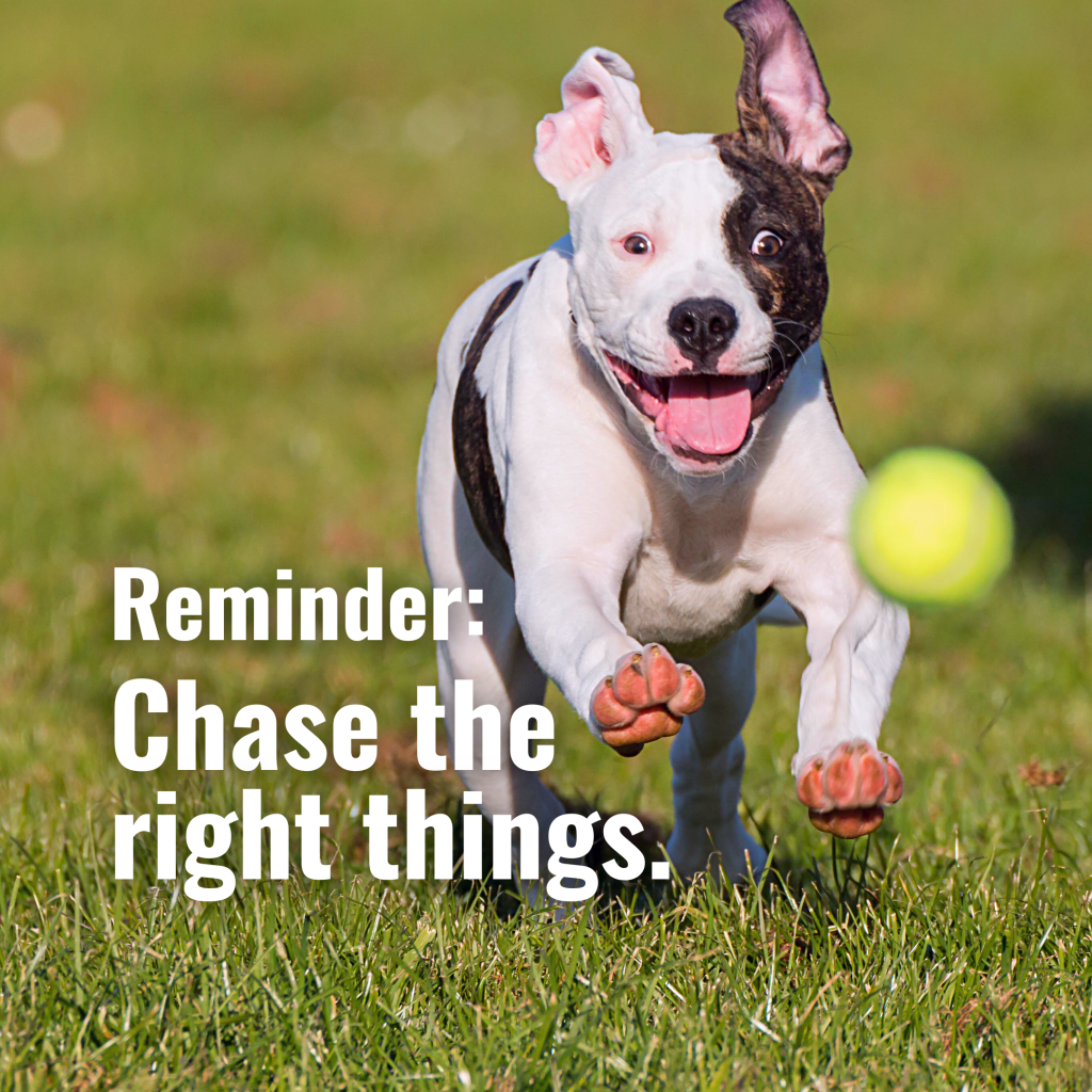 Chase the right things