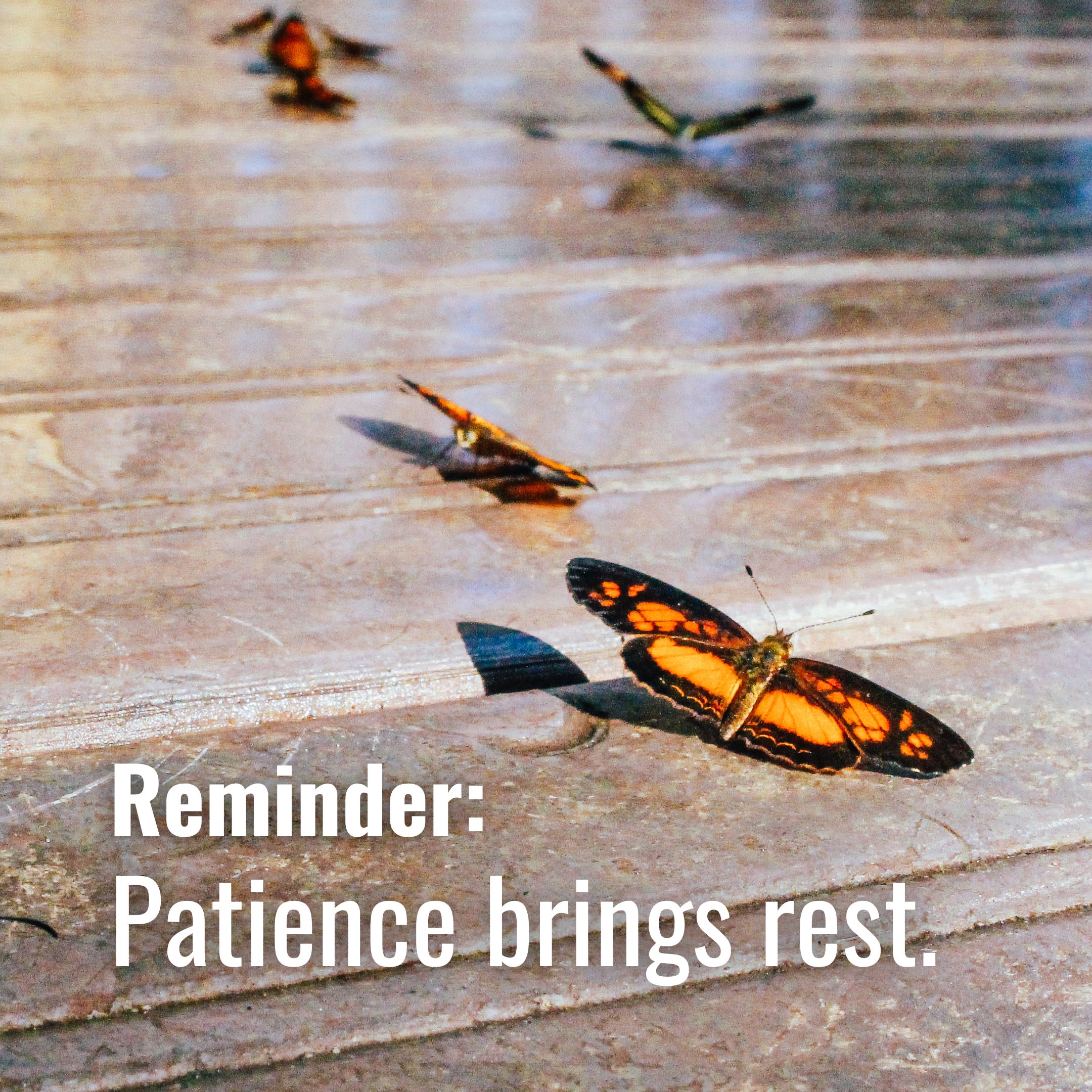 Patience brings rest.