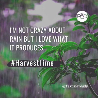 September 15, 2024-#HarvestTime