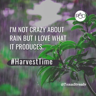 September 15, 2025-#HarvestTime