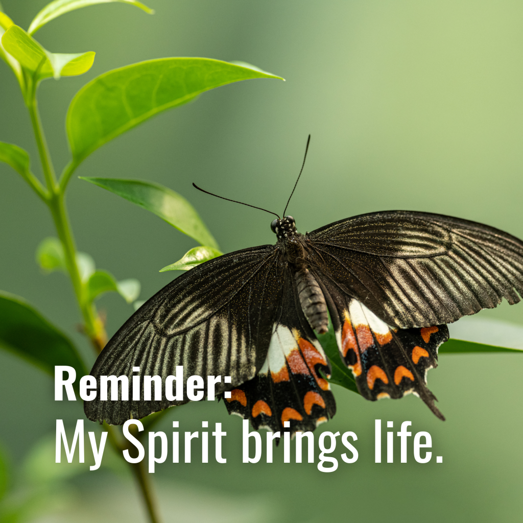Get With It - My Spirit brings life - A Radical Difference