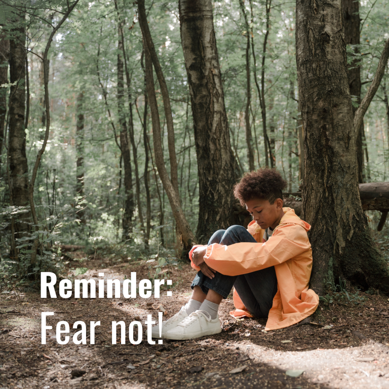 fear not
