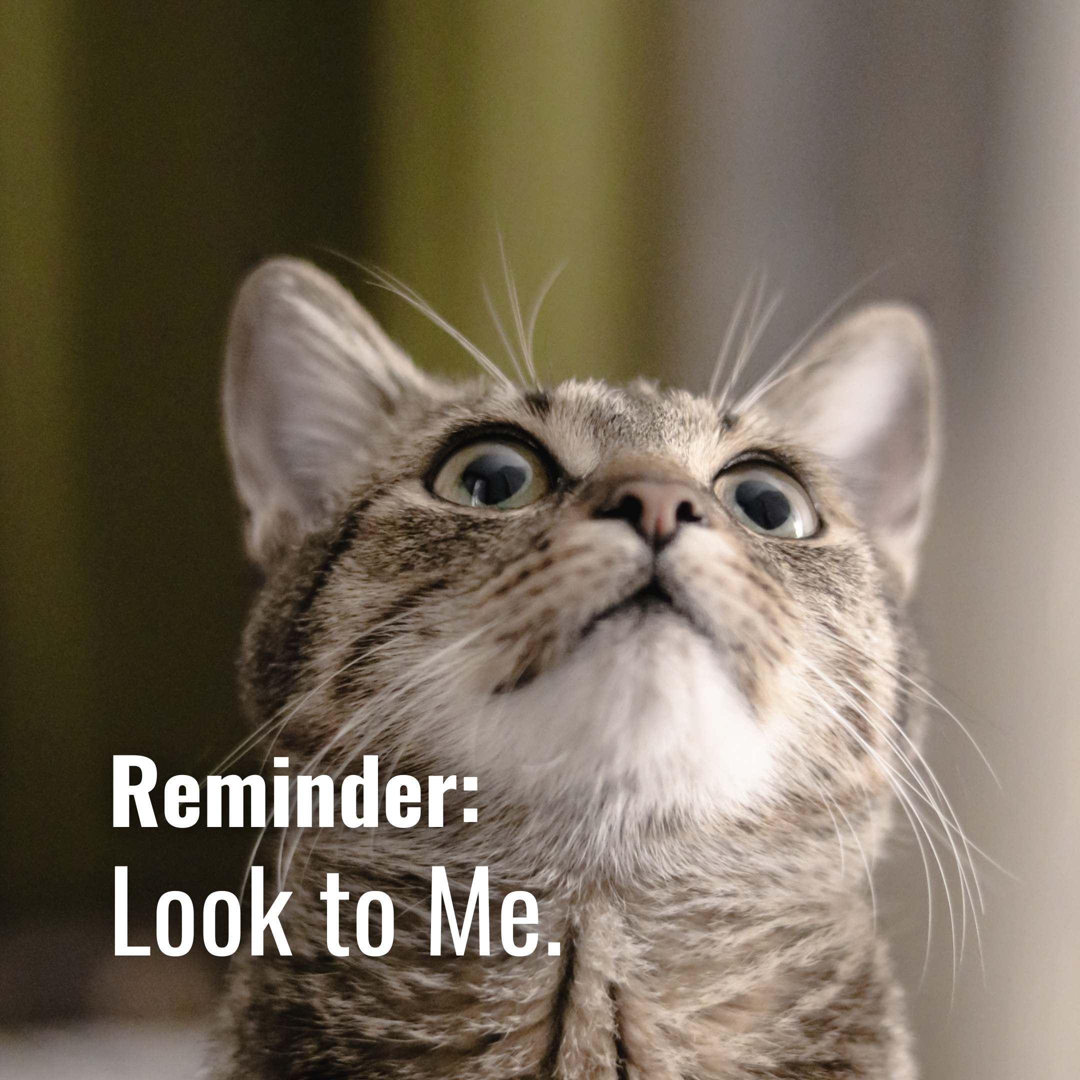Look to Me