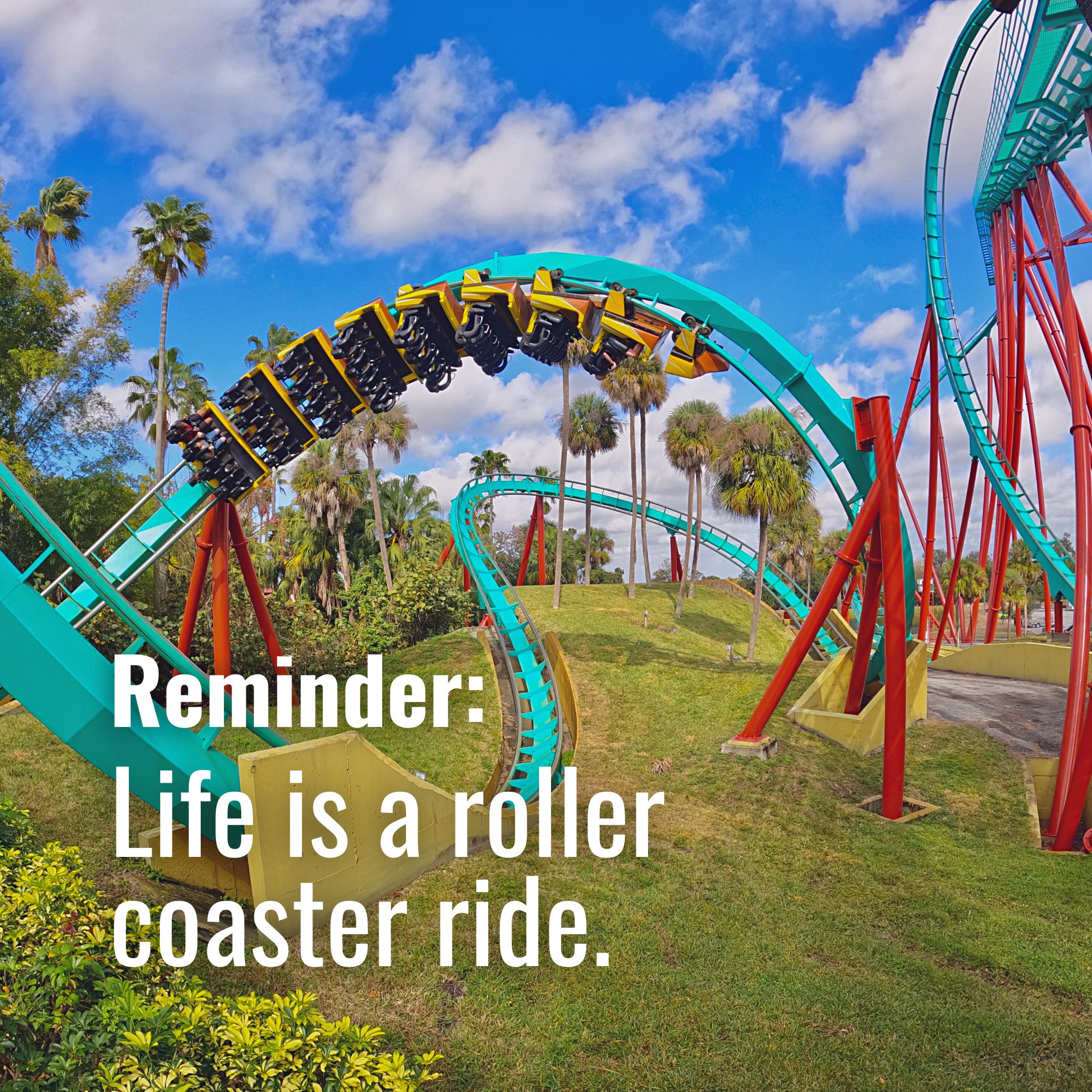 Life is a roller coaster ride.