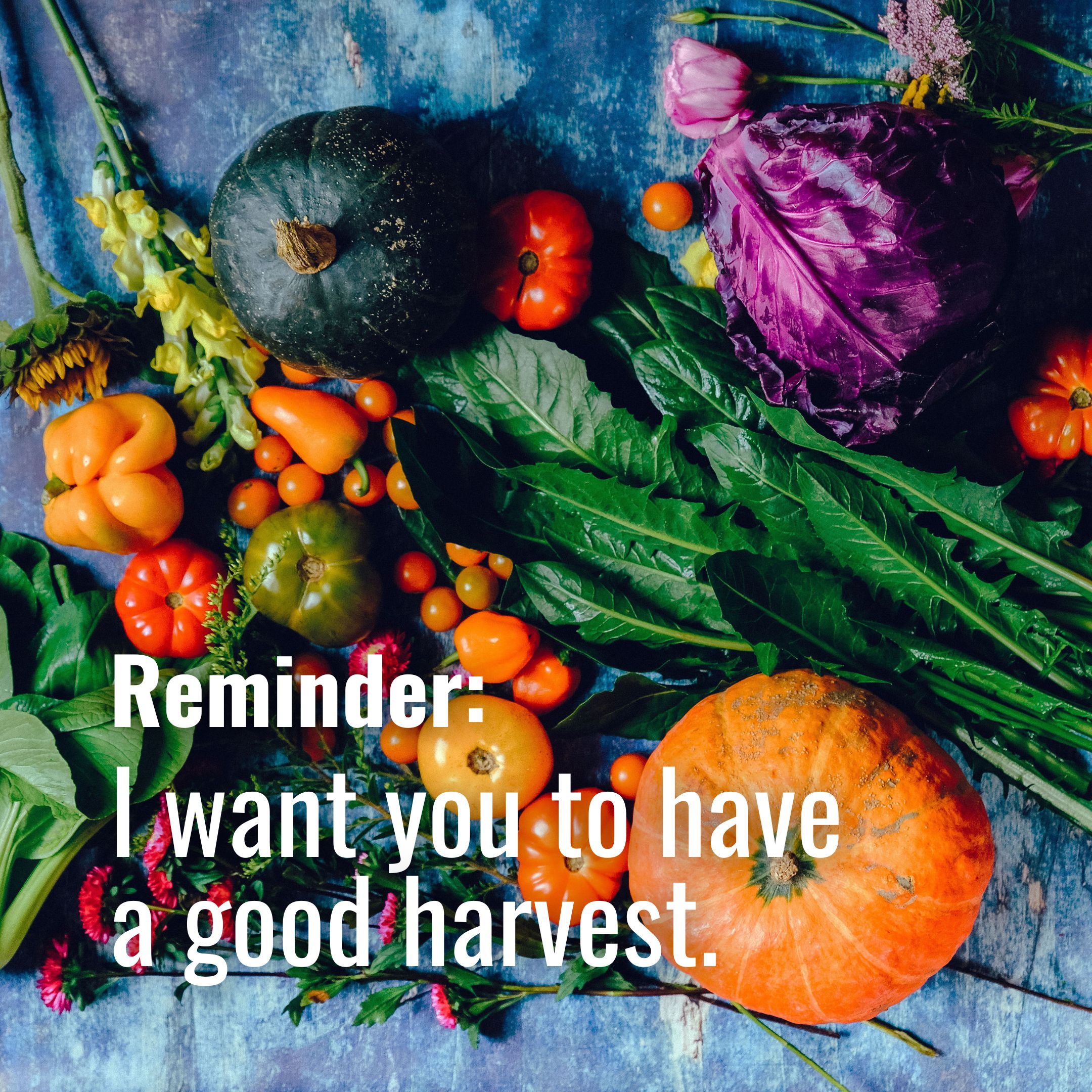 I want you to have a good harvest.