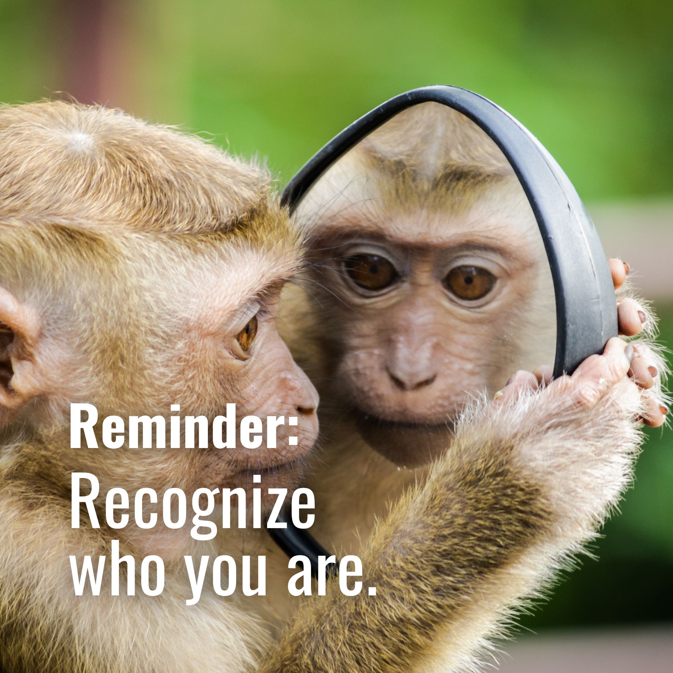 Recognize who you are