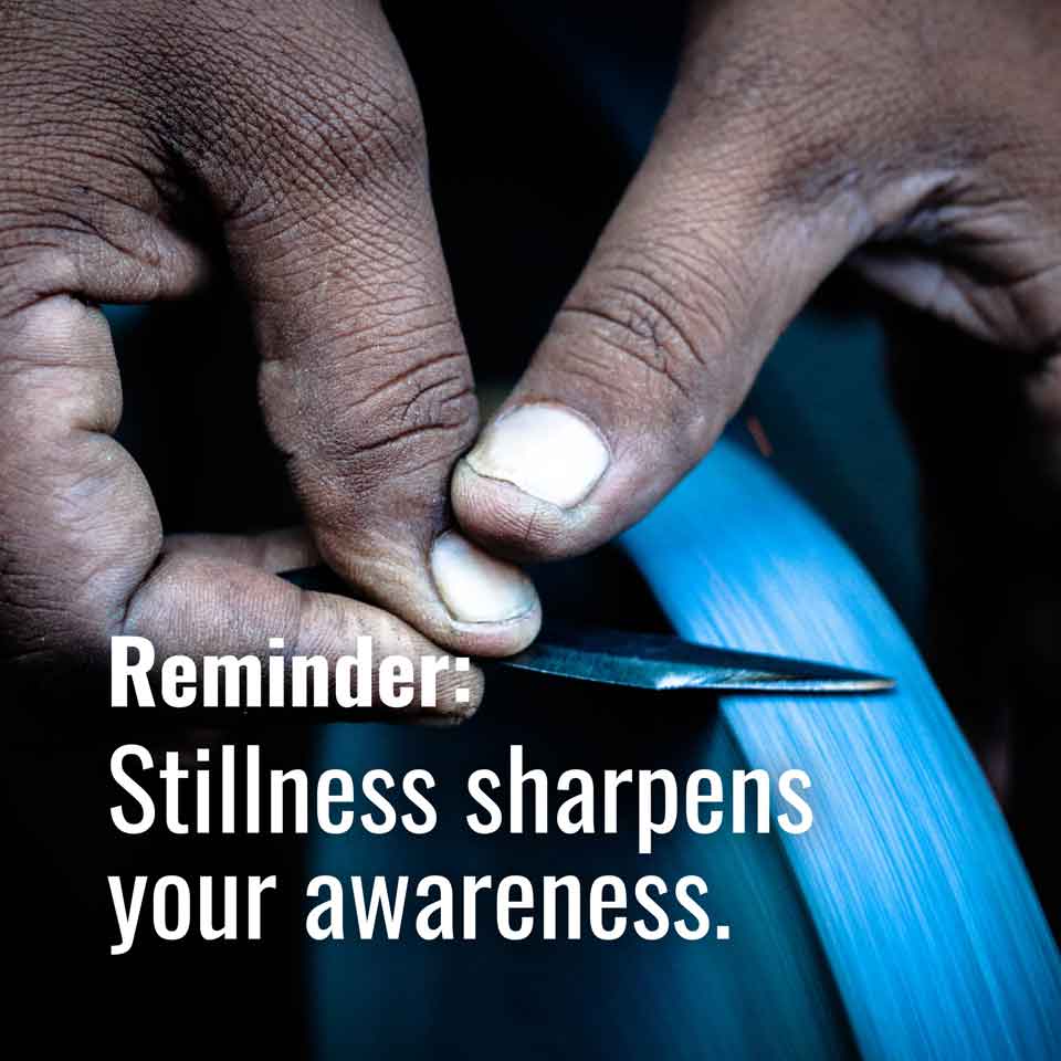Stillness sharpens your awareness🔪