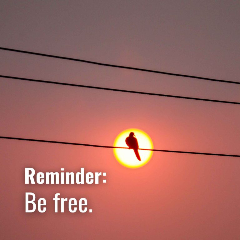 June 18, 2024-Be free
