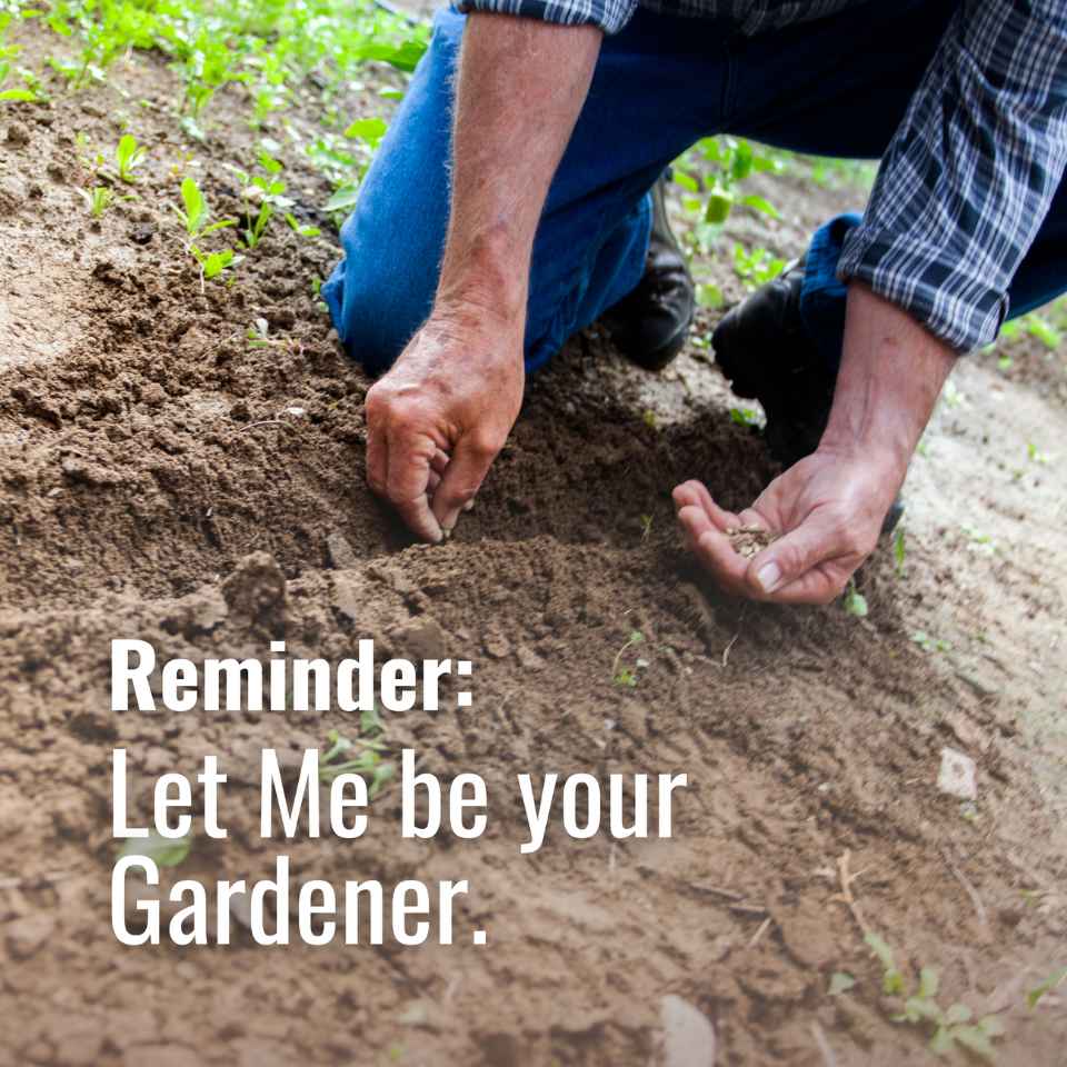 Let Me be your Gardener 👨‍🌾