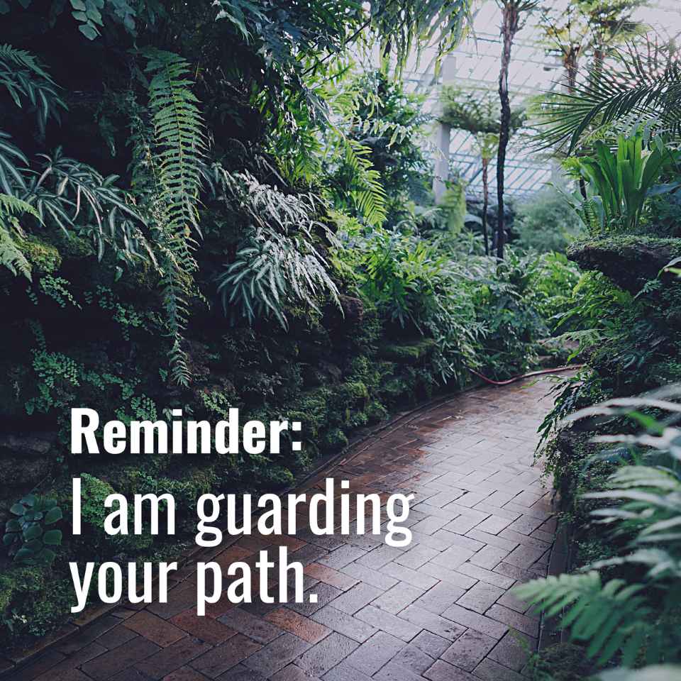 I am guarding your path 💂‍♂️