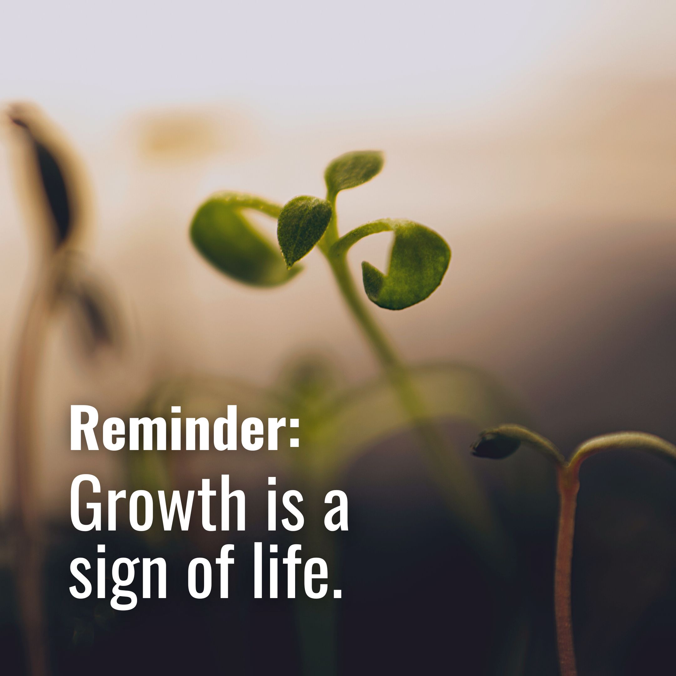 Growth is a sign of life 🌱