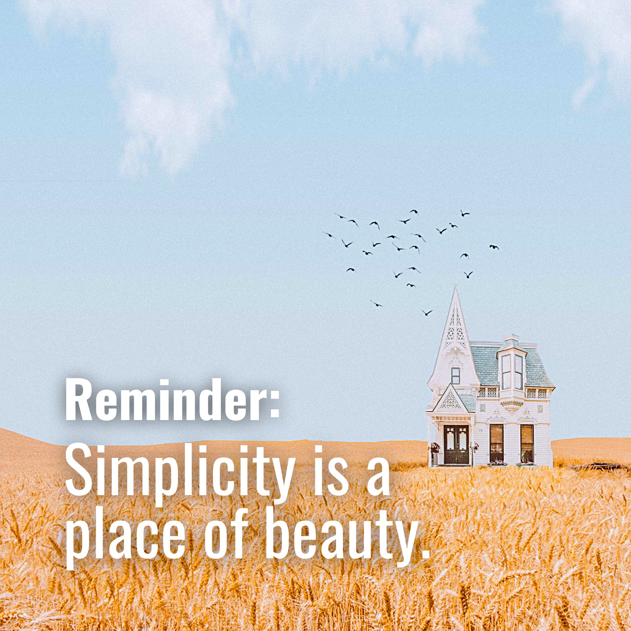 Simplicity is a place of beauty 👑